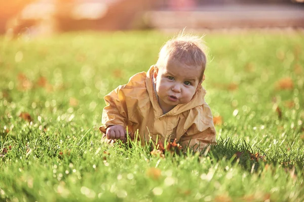 Baby jongetje kruipen onder de gevallen bladeren op het groene gazon op zonnige dag — Stockfoto