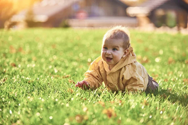 Kleiner Junge krabbelt bei sonnigem Wetter zwischen umgefallenen Blättern auf dem grünen Rasen — Stockfoto