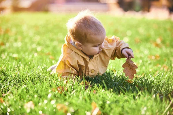 Baby jongetje kruipen onder de gevallen bladeren op het groene gazon op zonnige dag — Stockfoto