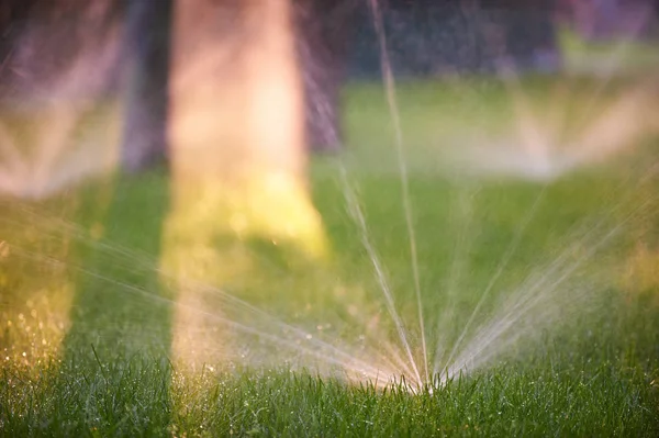 Lawn sprinkler spaying water over green grass. Morning time — Stock Photo, Image