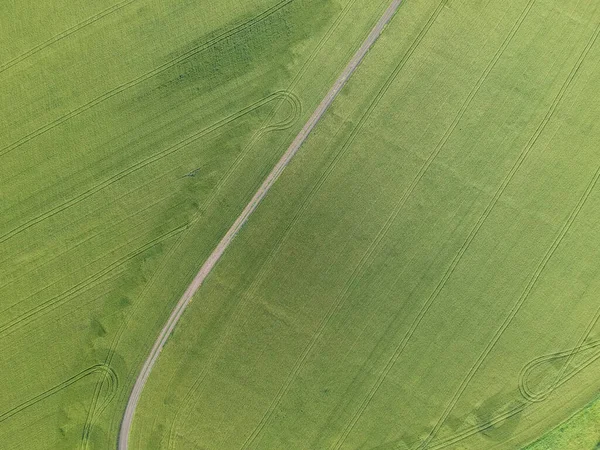 Vista Aérea Uma Área Rural Verde Campo Trigo Drone Foto — Fotografia de Stock