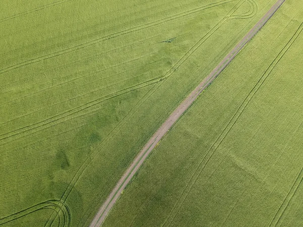 Flygfoto Över Ett Grönt Landsbygdsområde Vetefält Drönarfoto — Stockfoto