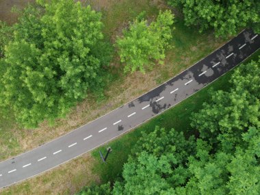Yeşil ormandan geçen yol..