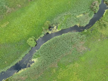 Yeşil çayırdaki küçük nehrin üzerinde hava manzarası. Drone fotoğrafı.