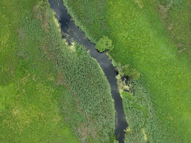 Yeşil çayırdaki küçük nehrin üzerinde hava manzarası. Drone fotoğrafı.