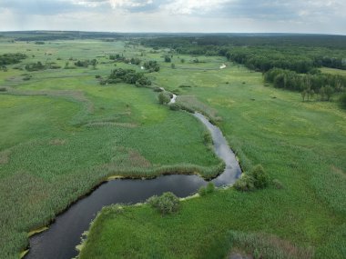 Yeşil çayırdaki küçük nehrin üzerinde hava manzarası. Drone fotoğrafı.