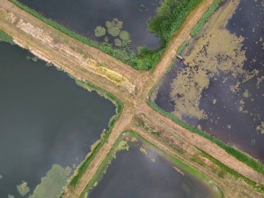 Göllerin üzerindeki hava manzarası. Drone fotoğrafı.