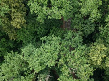 Yeşil ormandaki bir demiryolunun insansız hava aracı ile....