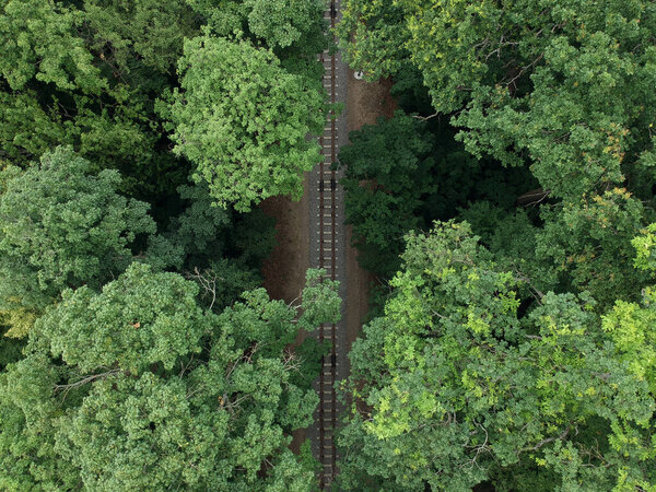 Aerial view with a drone of a railway in the green forest.