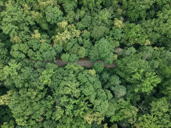 Luftaufnahme Mit Einer Eisenbahndrohne Grünen Wald — Stockfoto