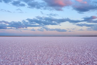 Gün batımında pembe bir tuz gölünün güzel manzarası. Azov Ukrayna.
