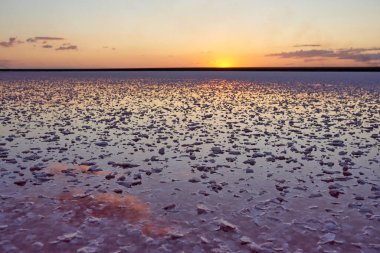 Gün batımında pembe bir tuz gölünün güzel manzarası. Azov Ukrayna.