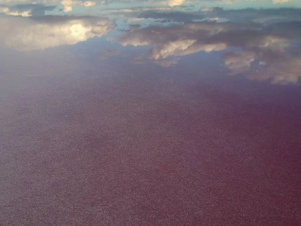 Вид Воздуха Розовое Соленое Озеро Азов Украина Фотография Дрона — стоковое фото