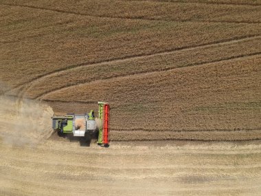 Tarlalarda çalışan hasat makinesinin hava görüntüsü. Drone fotoğrafı.