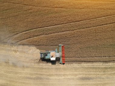 Tarlalarda çalışan hasat makinesinin hava görüntüsü. Drone fotoğrafı.