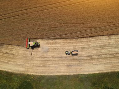 Tarlalarda çalışan hasat makinesinin hava görüntüsü. Drone fotoğrafı.