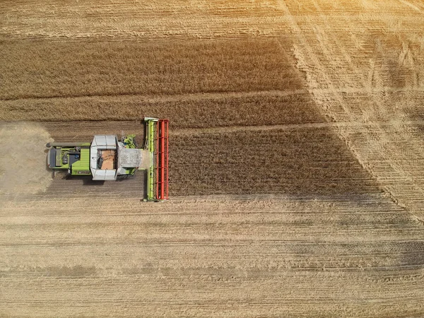 Aerial View Combine Harvester Working Fields Foto Drone — Stok Foto