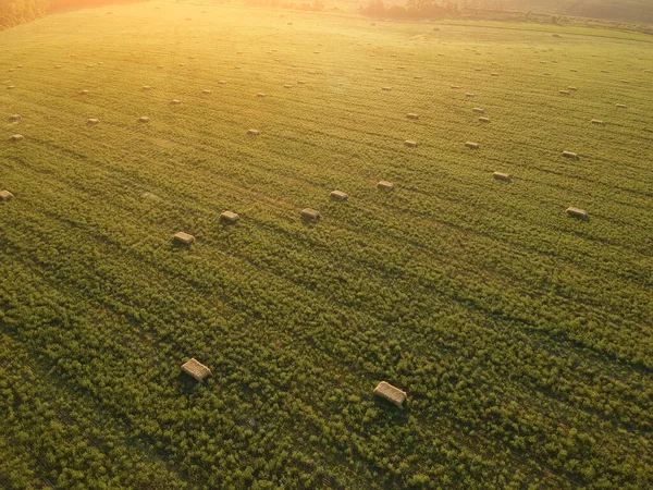 Вид Сверху Укладываемое Сено Пшеничном Поле Небом Амброзия Поля Фотография — стоковое фото