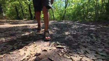Çocuğun ormanda şort ve sandalet giyerek yürüdüğü yakın plan. Açık hava macerası, doğa yürüyüşü ve keşfi..