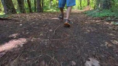 Çocuğun ormanda şort ve sandalet giyerek yürüdüğü yakın plan. Açık hava macerası, doğa yürüyüşü ve keşfi..