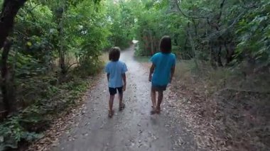 Orman yolunda birlikte yürüyen iki kardeş, doğa yürüyüşünün tadını çıkaran kardeşler, dışarıda aile bağları, yazın orman patikalarını keşfeden çocuklar..