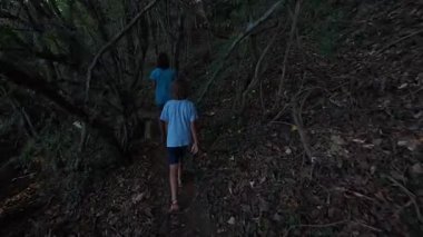 Orman yolunda birlikte yürüyen iki kardeş, doğa yürüyüşünün tadını çıkaran kardeşler, dışarıda aile bağları, yazın orman patikalarını keşfeden çocuklar..