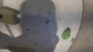 Kapalı alanda renkli kaya duvarlara tırmanma videosu, tırmanışçı spor salonundaki tırmanış sırasında ambara uzanıyor..