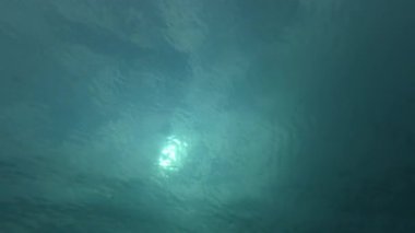 Underwater view looking up at the ocean surface with sunlight filtering through the waves. Peaceful and abstract marine scene captured from below the water.
