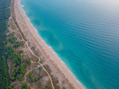 Aerial view of wild beach Krapets camping area by the sea in Bulgaria, with tents, campers, and forest trails. Untouched nature, summer adventure, and off-grid coastal lifestyle from above.