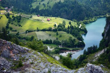 Tara Dağı, Sırbistan. Dağlardaki göl. Ulusal Park Tara, Sırbistan