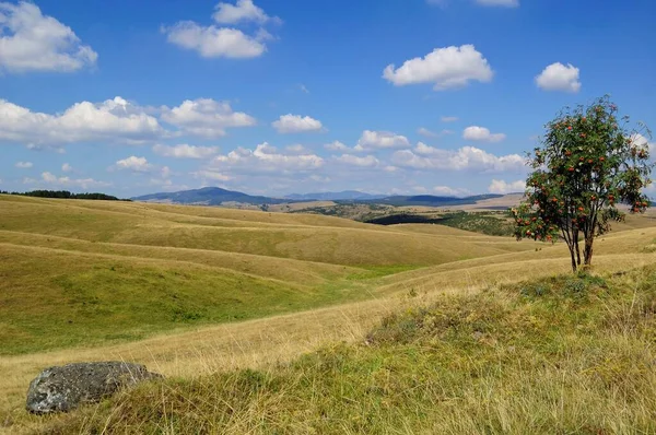 Zlatibor mountain landscape, Serbia. Zlatibor mountain, Serbia. Fields and meadows of Zlatibor