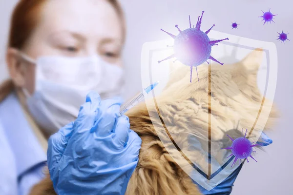 Konsepti Lääkäri Rokoteruiskulla Suojaaminen Bakteereilta — kuvapankkivalokuva