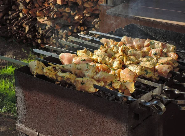 Frango Grelhado Kebab Aves Grelha Dia Verão — Fotografia de Stock