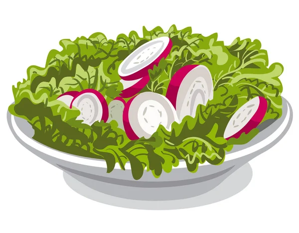 Salade met radijs — Stockvector