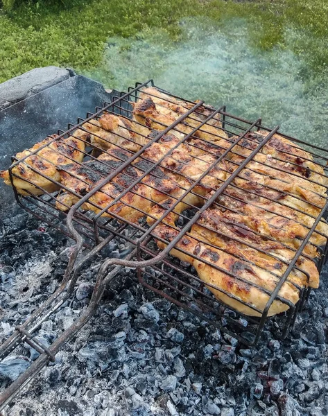 Frango grelhado kebab aves — Fotografia de Stock