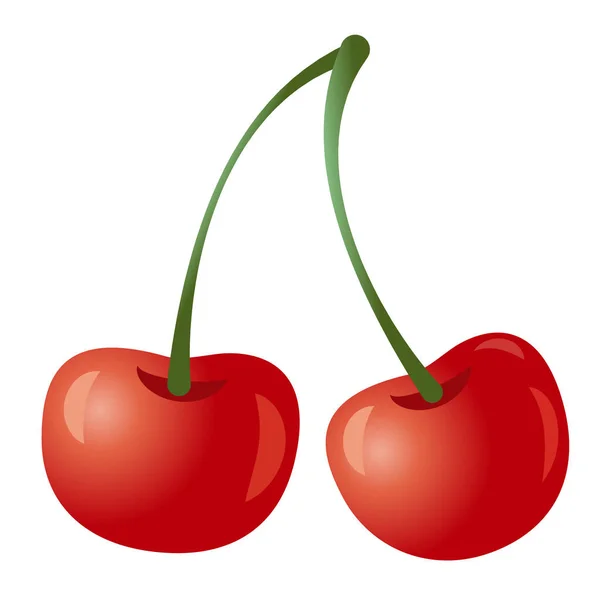 Two cherries — Stock Vector