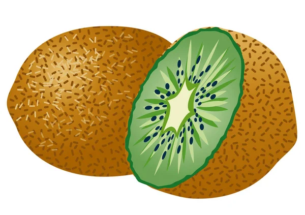Twee kiwi vruchten — Stockvector