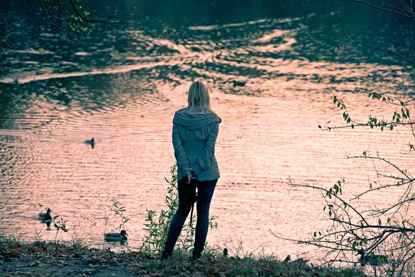 一个孤独的女孩从后面站在岸边 面对秋湖与鸭子在夕阳的光芒 — 图库照片