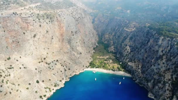 Kelebekler Vadisi Fethiye Ilçe Mula Eyaleti Sahipliği Çeşitli Kelebek Familyasından — Stok video