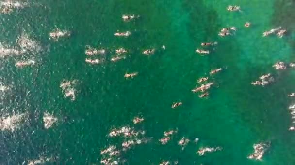 Die Überquerung Von Hellespont Und Dardanellen Ist Ein Bedeutendes Freiwasserschwimmen — Stockvideo