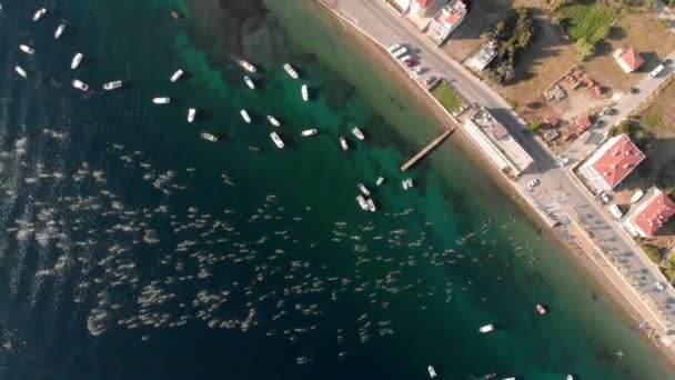 ヘレスポントとダーダネルス海峡横断 ヨーロッパとアジアの間 の重要な開いた水水泳 — ストック動画