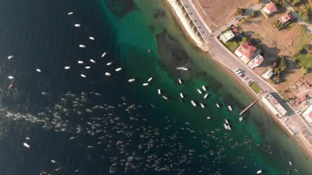 Hellespont Dardanelles 过境点是欧洲和亚洲之间4公里的重要开放水域游泳 — 图库视频影像
