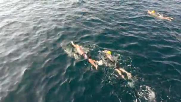 Hellesponten Och Dardanellerna Korsningen Betydande Öppet Vatten Simma Mellan Europa — Stockvideo