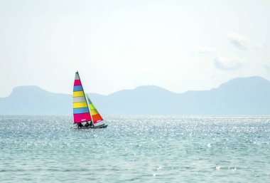 Renkli Katamaran denizde yelken