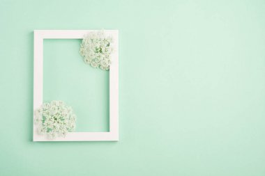 Güzel beyaz çiçekler ve pastel nane arka plan üzerinde boş çerçeve. Yumuşak açık renk. Üst görünüm, kopyalama alanı.