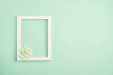Güzel beyaz çiçekler ve pastel nane arka plan üzerinde boş çerçeve. Yumuşak açık renk. Üst görünüm, kopyalama alanı.