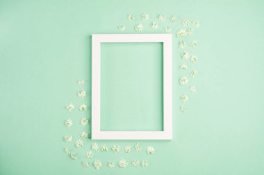 Güzel beyaz çiçekler ve pastel nane arka plan üzerinde boş çerçeve. Yumuşak açık renk. Üst görünüm, kopyalama alanı.