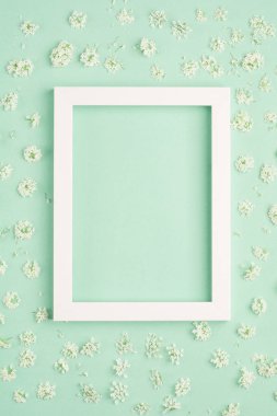 Güzel beyaz çiçekler ve pastel nane arka plan üzerinde boş çerçeve. Yumuşak açık renk. Üst görünüm, kopyalama alanı.