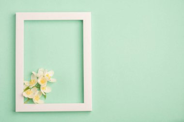 Güzel beyaz çiçekler ve pastel nane arka plan üzerinde boş çerçeve. Üst görünüm, kopyalama alanı.