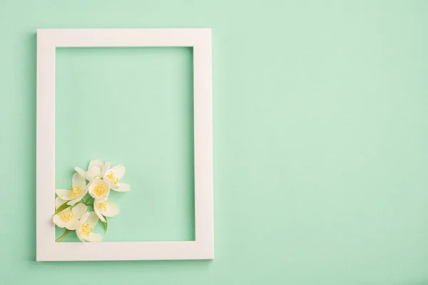 Beautiful White Flowers Blank Frame Pastel Mint Background Top View — Stock Photo, Image